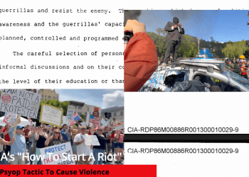 The CIA’s “How To Start A Riot” Guide Details Psyop Tactic To Cause Violence